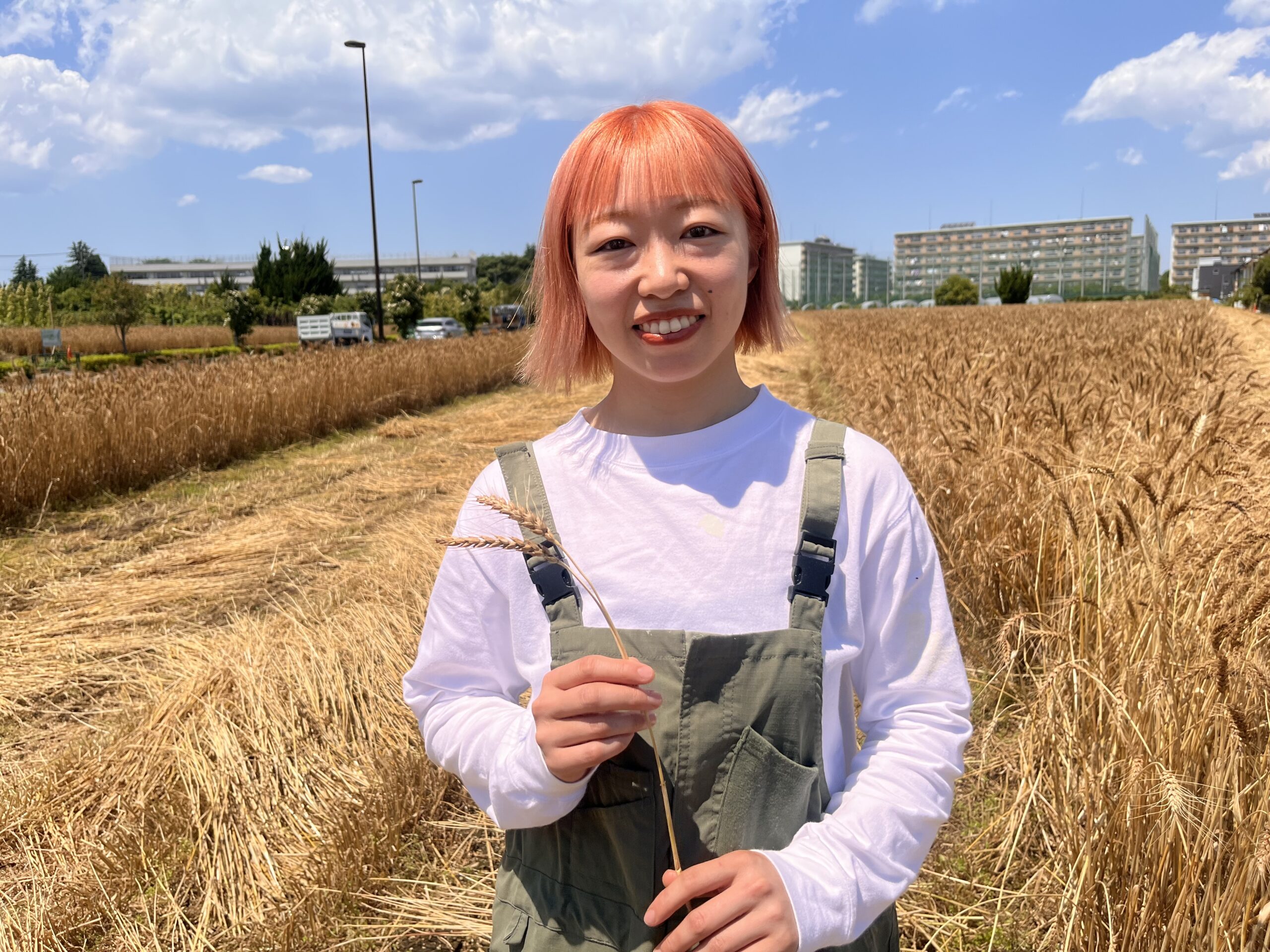 新井萌未